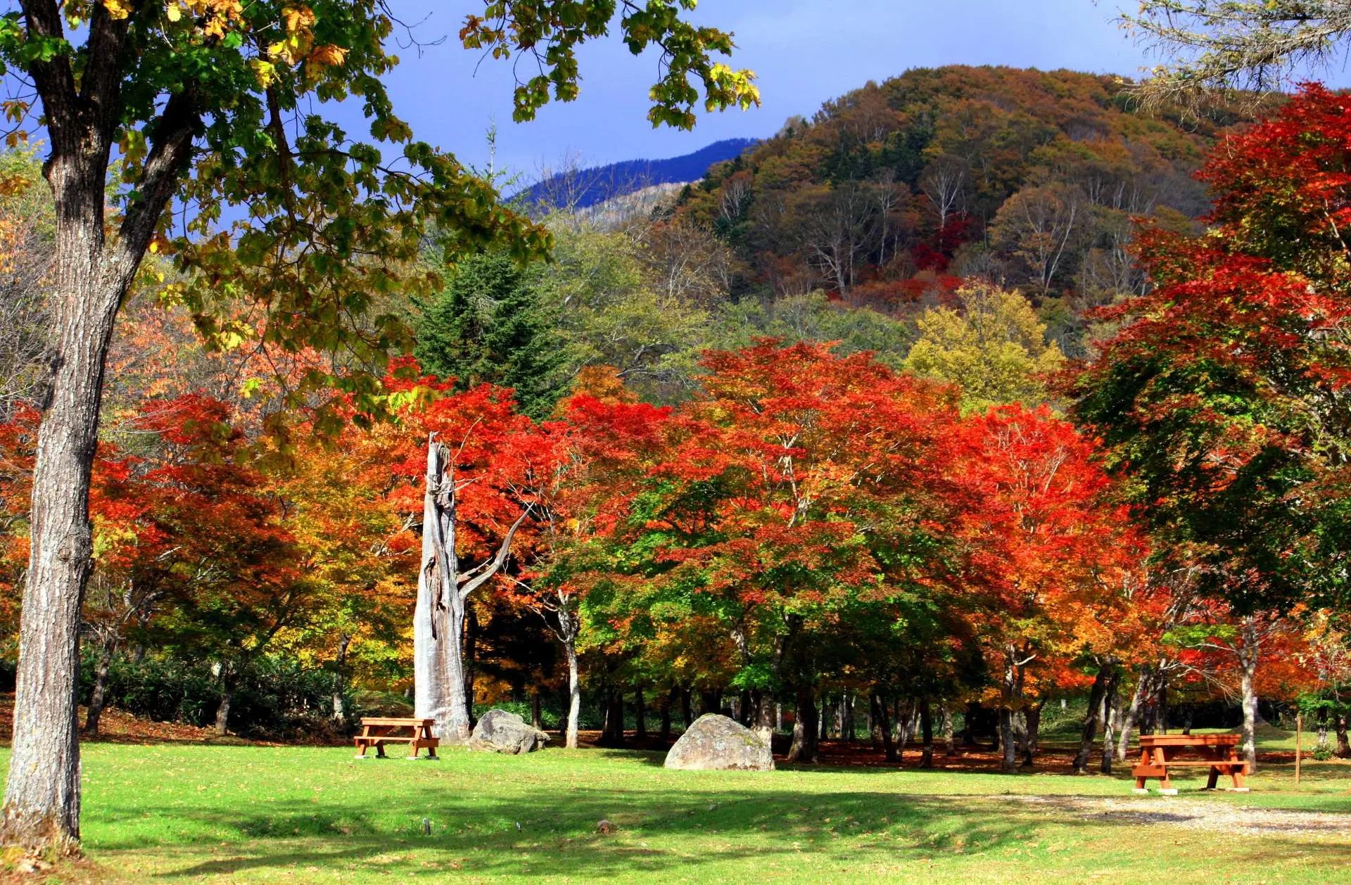 🏯 후쿠하라 저택 터(후쿠하라테이아토) 이미지 4